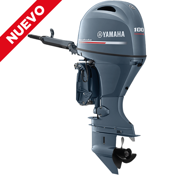 MOTOR FUERA DE BORDA F100G